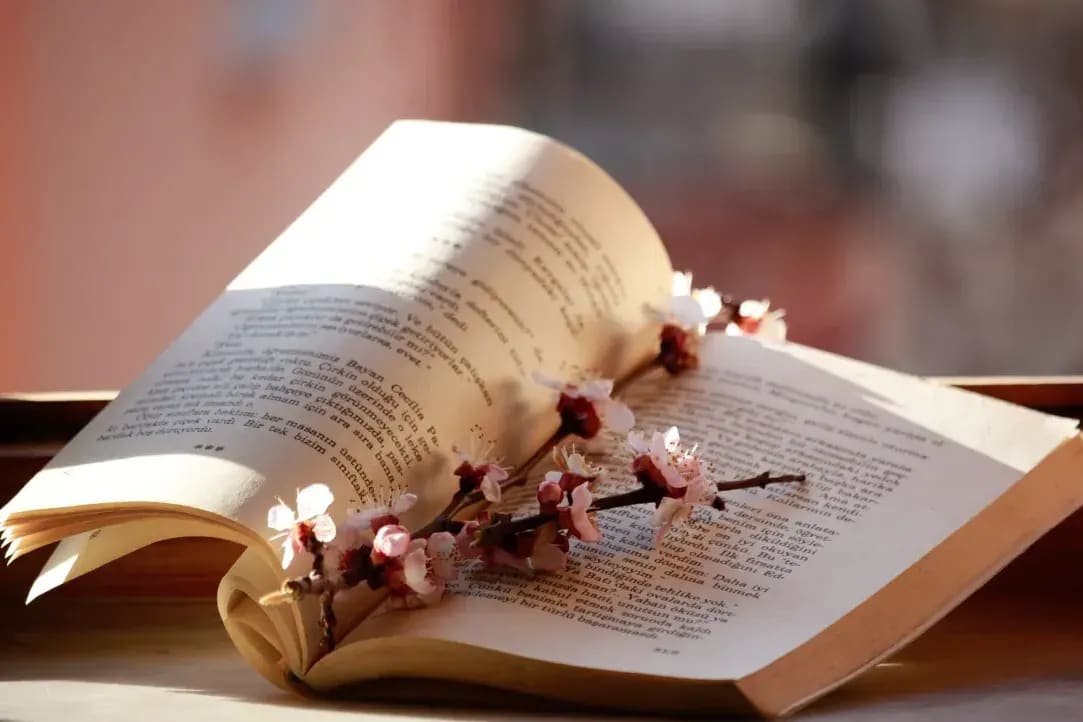 読書リズム 9